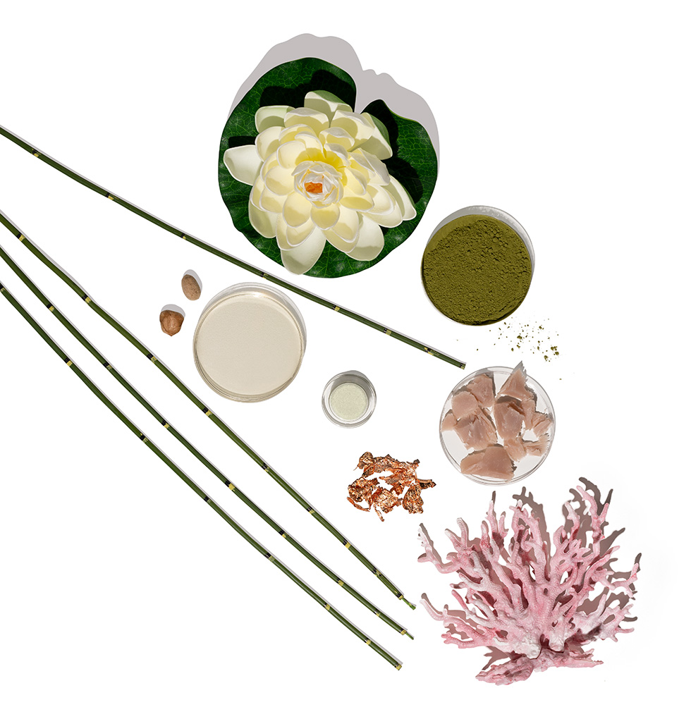 Detox Treatment
